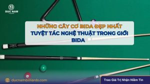 Những cây cơ bida đẹp nhất trong giới bida